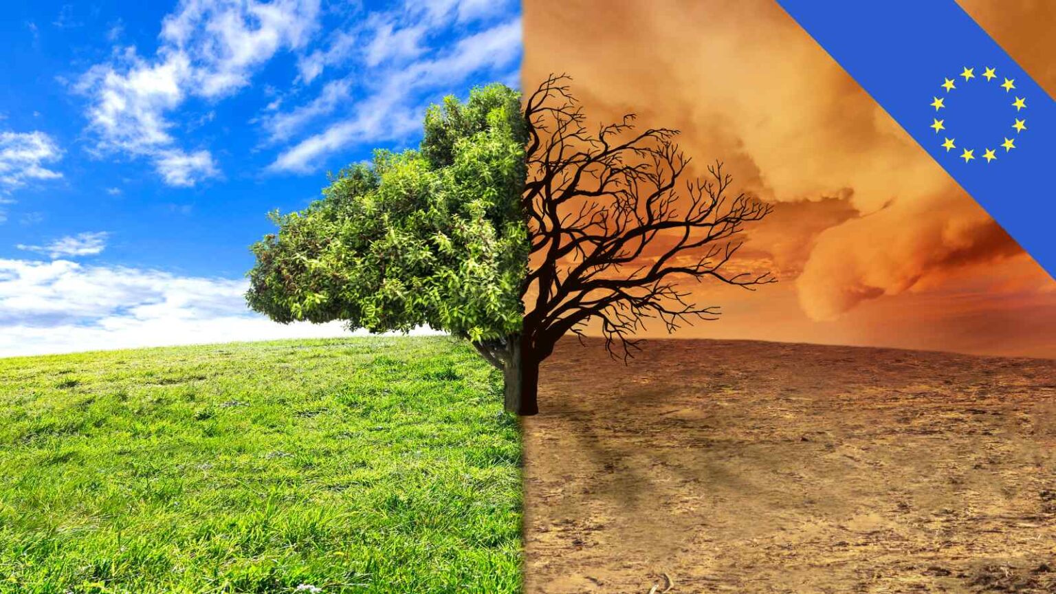 L’Europa si prepara alla COP30 con obiettivi climatici ambiziosi, bilanciando riduzione emissioni, rinnovabili e sostenibilità economica.
