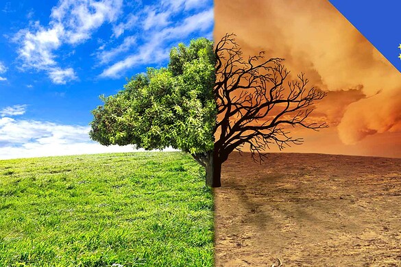 Europa verso COP30: compromesso verde tra ambizione e realtà