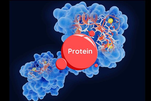 Dentro la cellula: proteine in tempo reale come mai prima