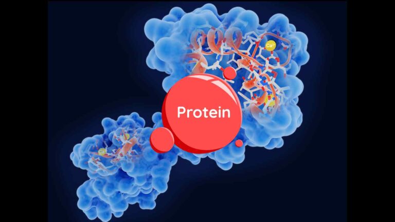 Scienziati hanno reso le proteine luminose, permettendo di osservare in tempo reale i loro movimenti senza danneggiare le cellule.