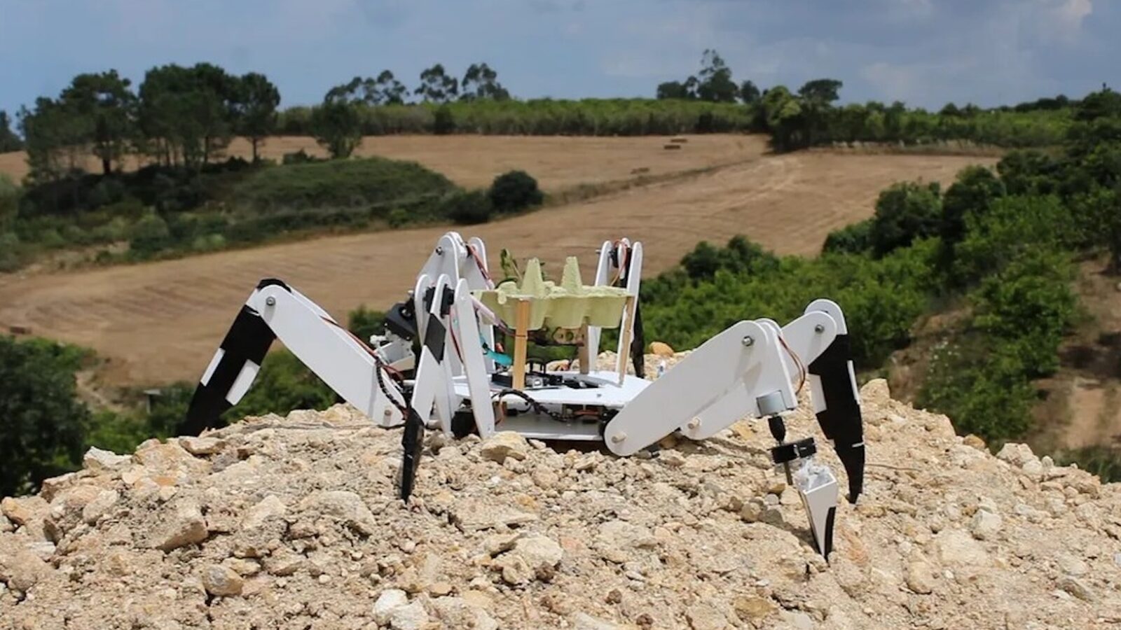 Ragazzi portoghesi costruiscono un robot-ragno per riforestare