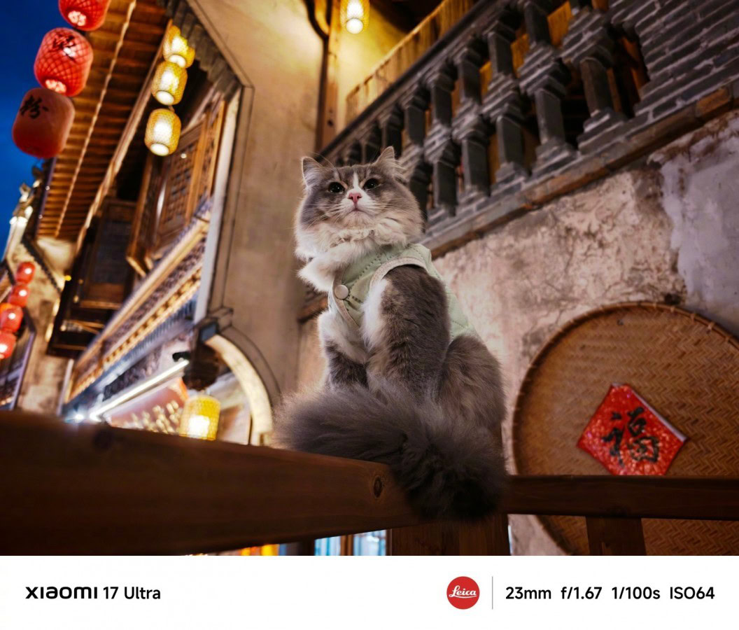 Gatto in stile asiatico, decorazione urbana, fotografia di animali domestici, Xiaomi 17 Ultra, foto artistica, dettagli di alta qualità, fotografia notturna, scena culturale, smartphone Leica, cattura dettagli, fotografia di animali, inquadratura artistica, stile di vita urbano, scatto con tecnologia avanzata. Gatto con fiore in seconda dai colori caldi, in posizione seduta su un tavolo in un'antica strada di città asiatica, decorata con lanterne rosse e decorazioni tradizionali.