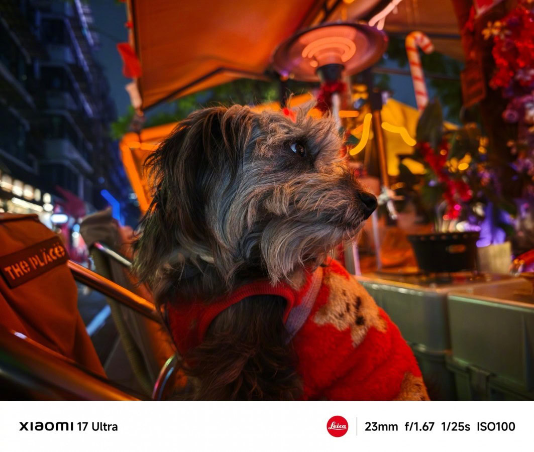 Cane di Moda Notturna. Cane con vestito rosso in un ambiente urbano illuminato di sera, in un'ambientazione vivace e colorata, perfetto per appassionati di fotografia di animali e tecnologia.