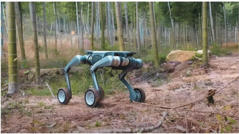 robot