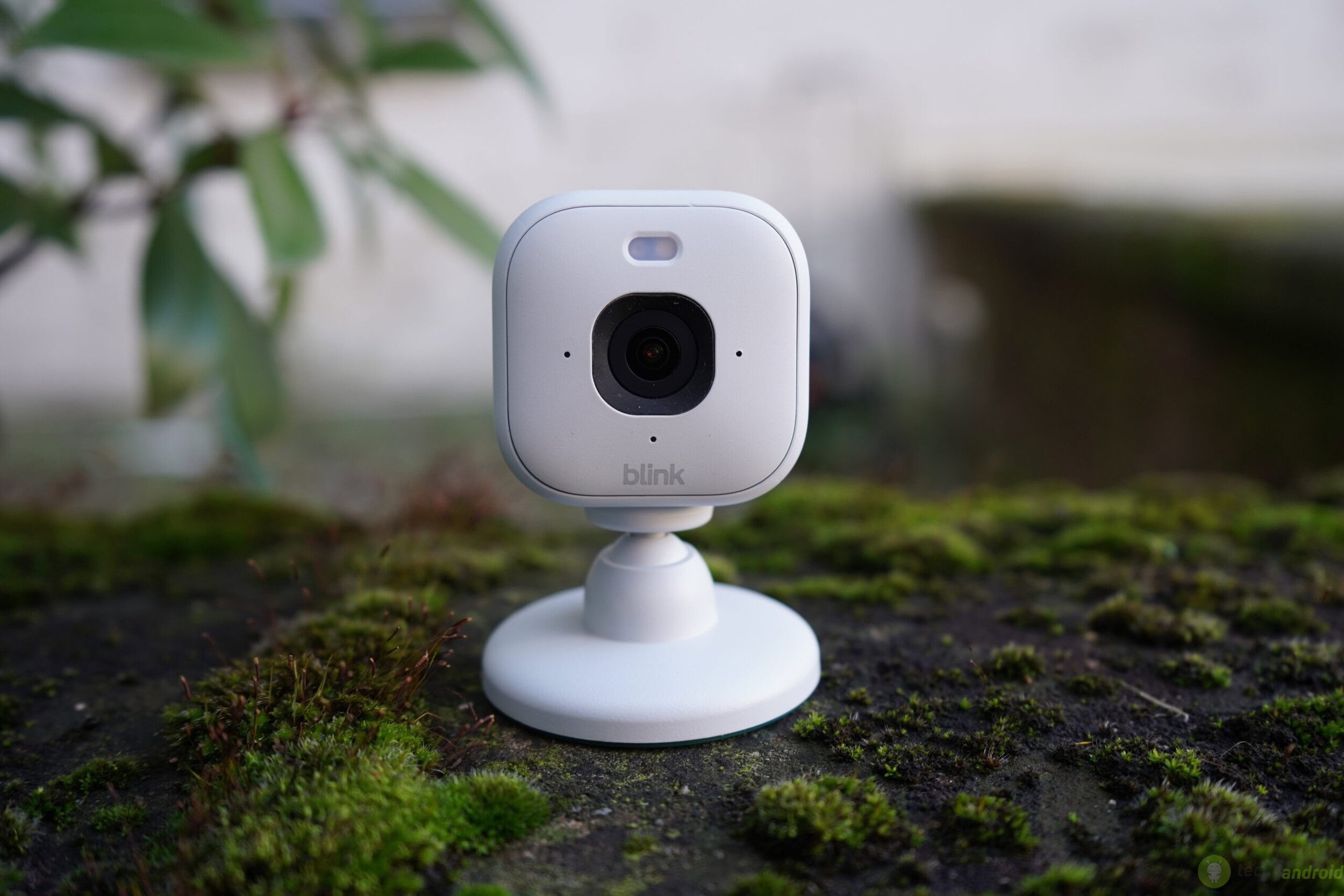 Telecamera smart Blink. Blink ()