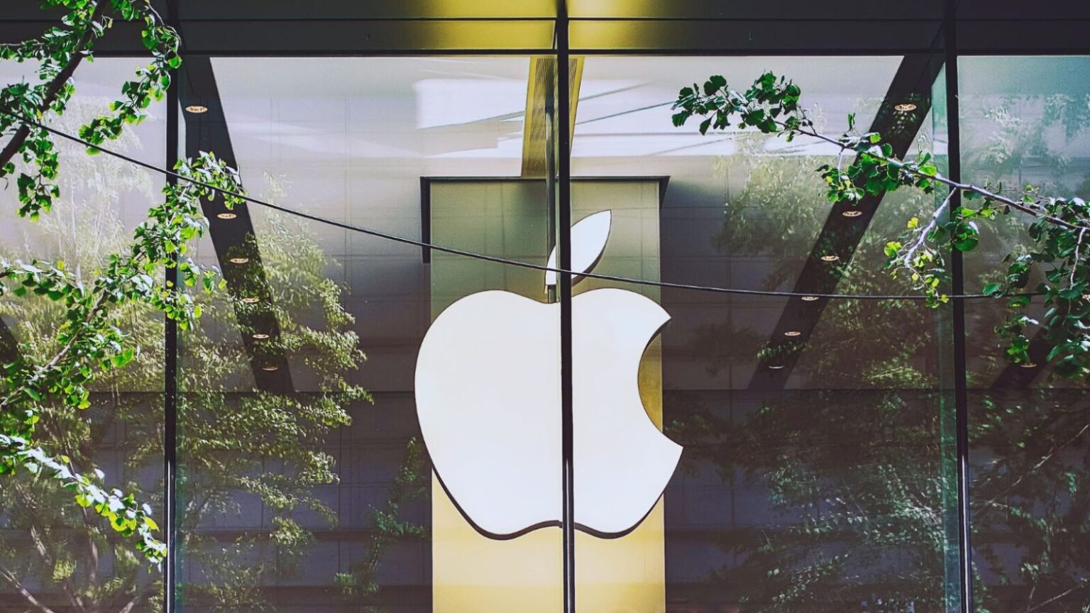 ALT: Vista della vetrata dell'Apple Store con il logo stilizzato di mela bianca illuminata, circondata da piante e rami verdi, che riflette l'ambiente moderno e tecnologico del negozio.