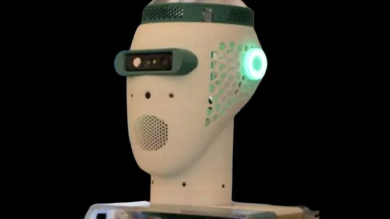 Testa robot