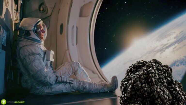fungo nero astronauti