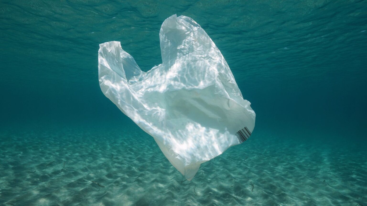 plastica mare