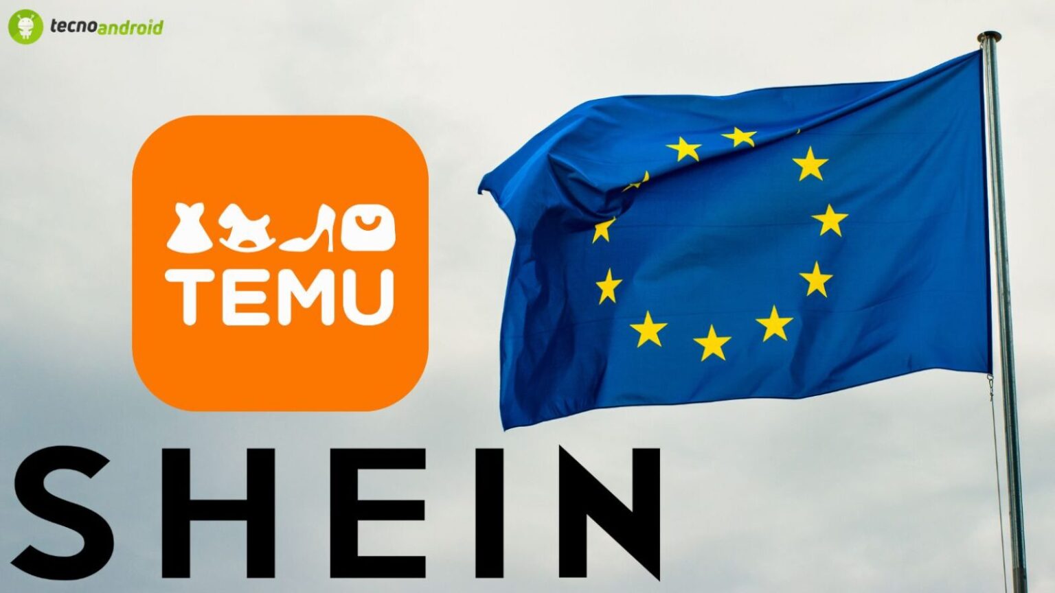 shein temu tassa