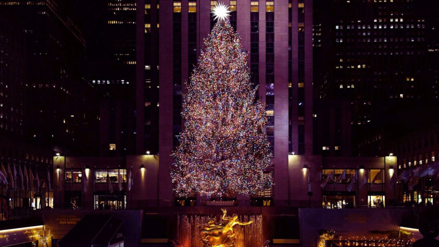 Albero di Natale decorato con luci multicolore in un grande centro urbano, con edifici illuminati sullo sfondo e atmosfera natalizia vivace.