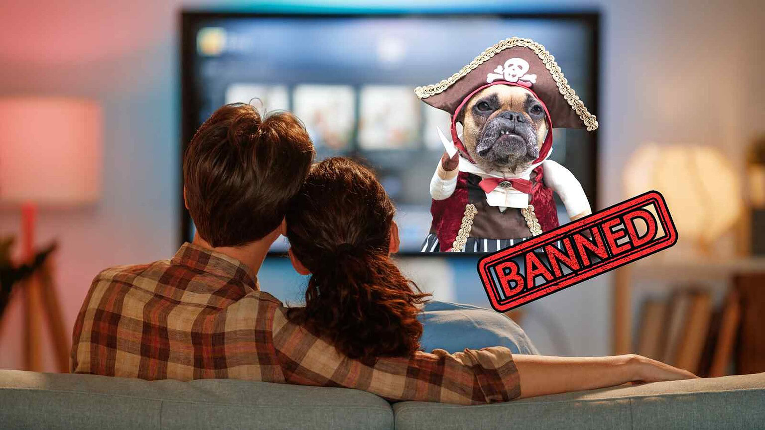 Immagine di un cane Boston Terrier truccato da pirata, con un cappello e abiti pirateschi, seduto davanti a una TV. La scena è divertente e ironica, ma l'immagine è stata bannata.
