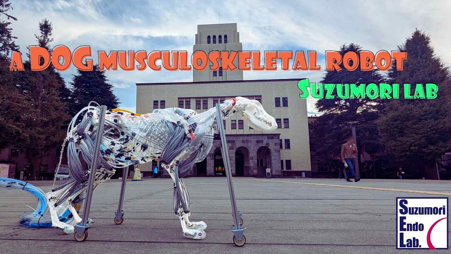 Immagine di un robot muscoloso a forma di cane, con componenti meccaniche visibili e un design innovativo, ambientato all'aperto davanti a un edificio.