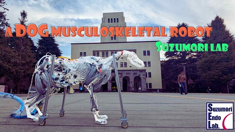 Immagine di un robot muscoloso a forma di cane, con componenti meccaniche visibili e un design innovativo, ambientato all'aperto davanti a un edificio.