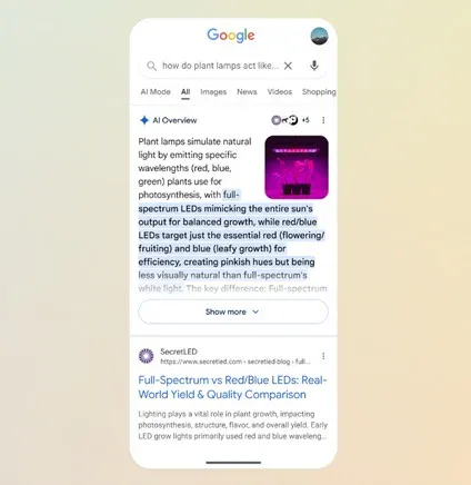 Google Ricerca Google Ricerca