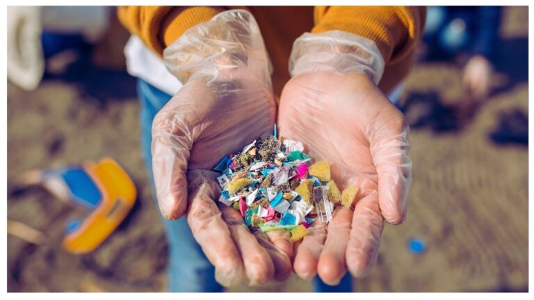 Microplastiche