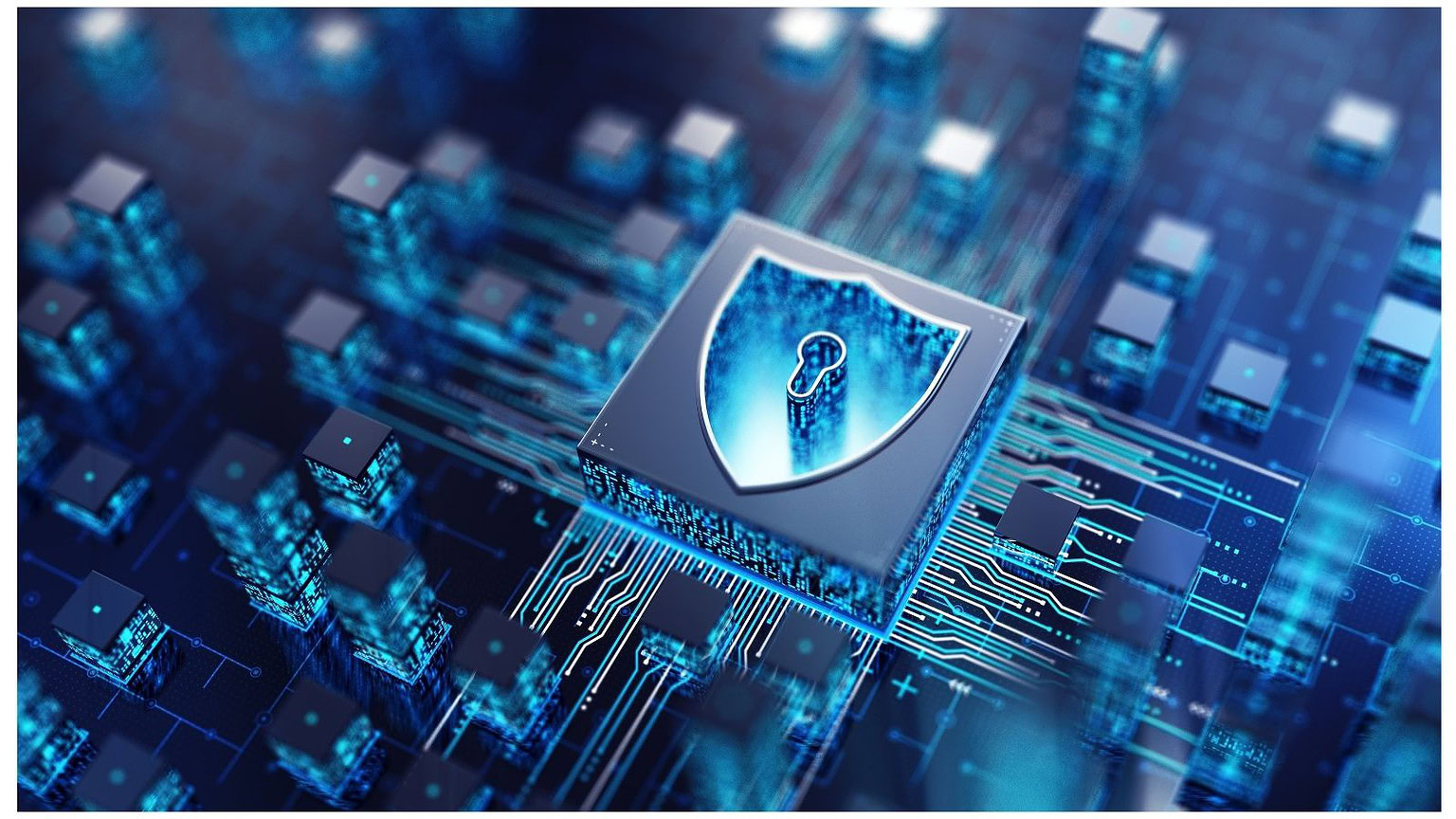 Cibersecurity