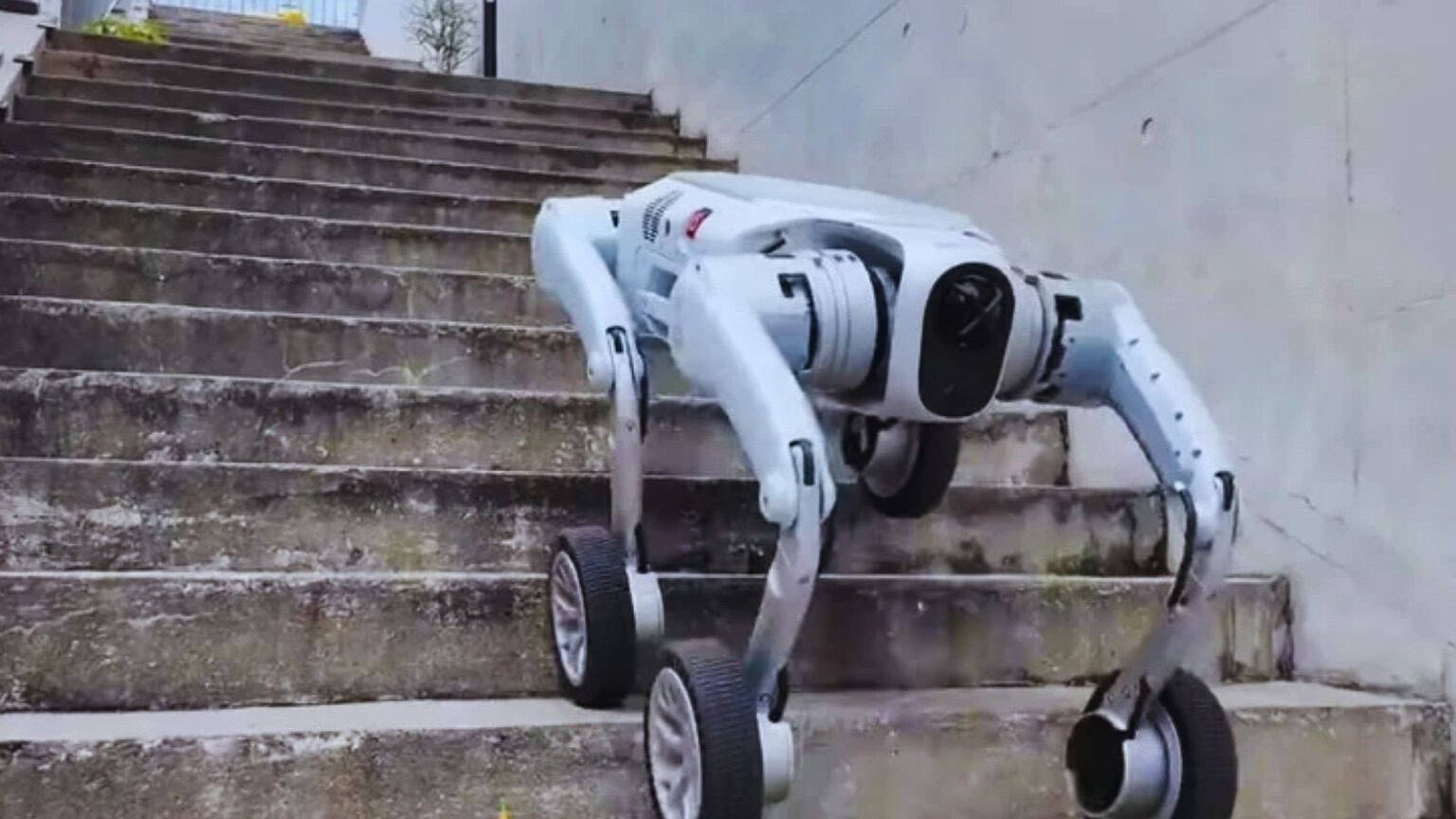pudu robot