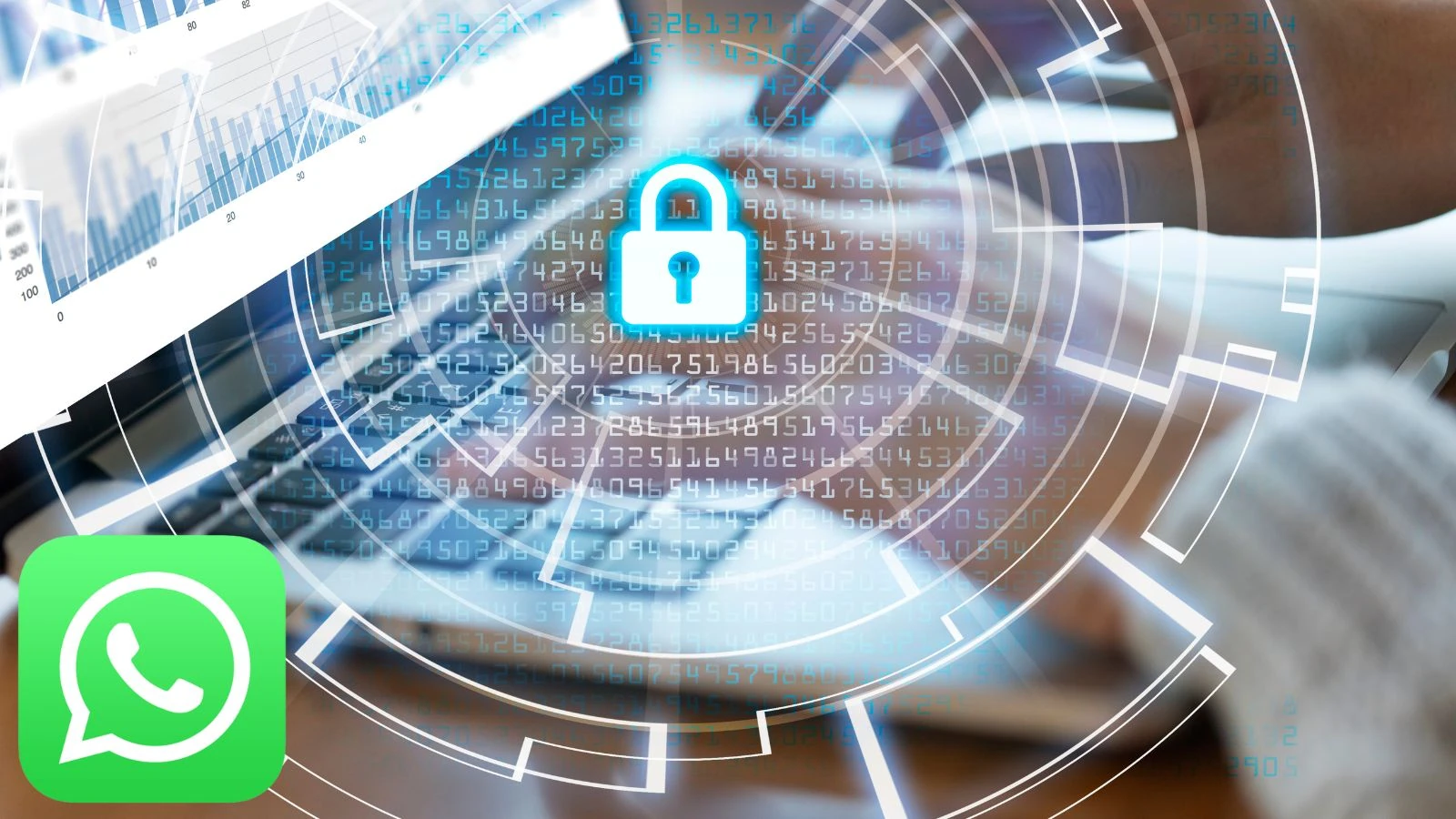 WhatsApp accusata di non rispettare la privacy