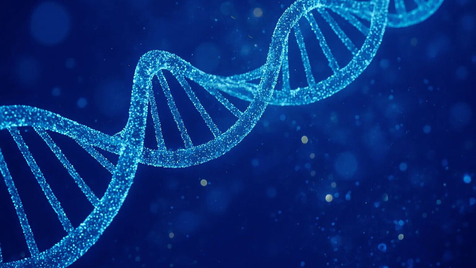 mappe 4D DNA