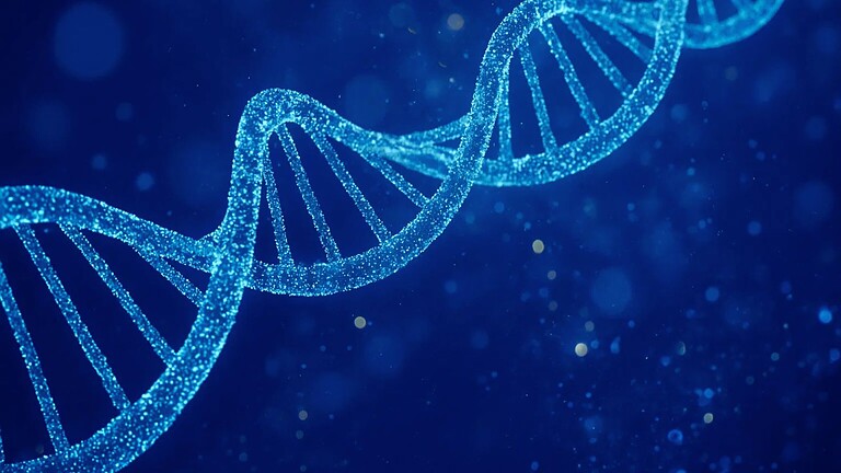 mappe 4D DNA