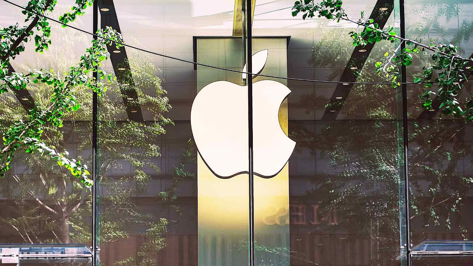John Ternus emerge come possibile successore di Tim Cook, simbolo di una Apple orientata a continuità, hardware e gestione prudente.