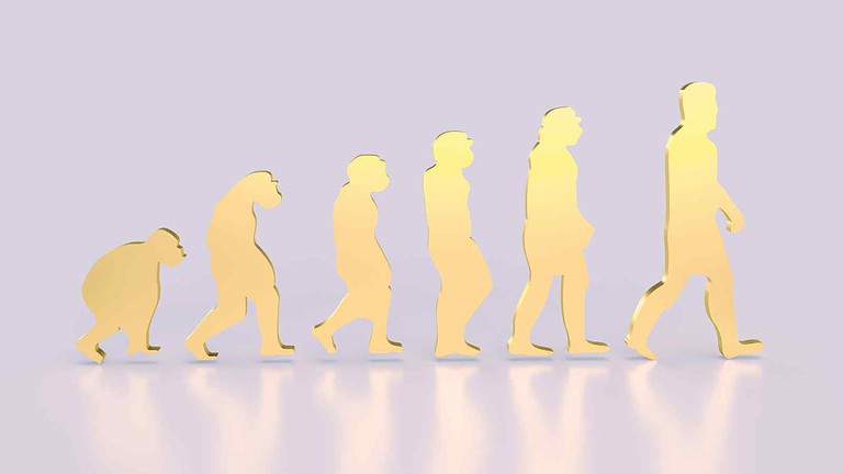 A Koobi Fora è stato scoperto uno scheletro completo di Homo habilis che mostra un corpo ibrido tra arrampicata e postura eretta.