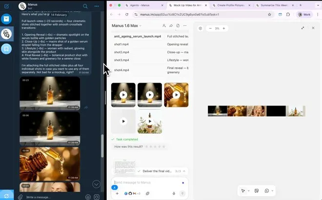 Manus AI Telegram Meta _1