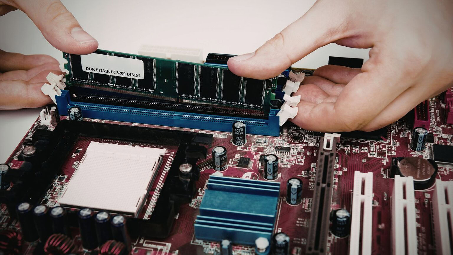 ram