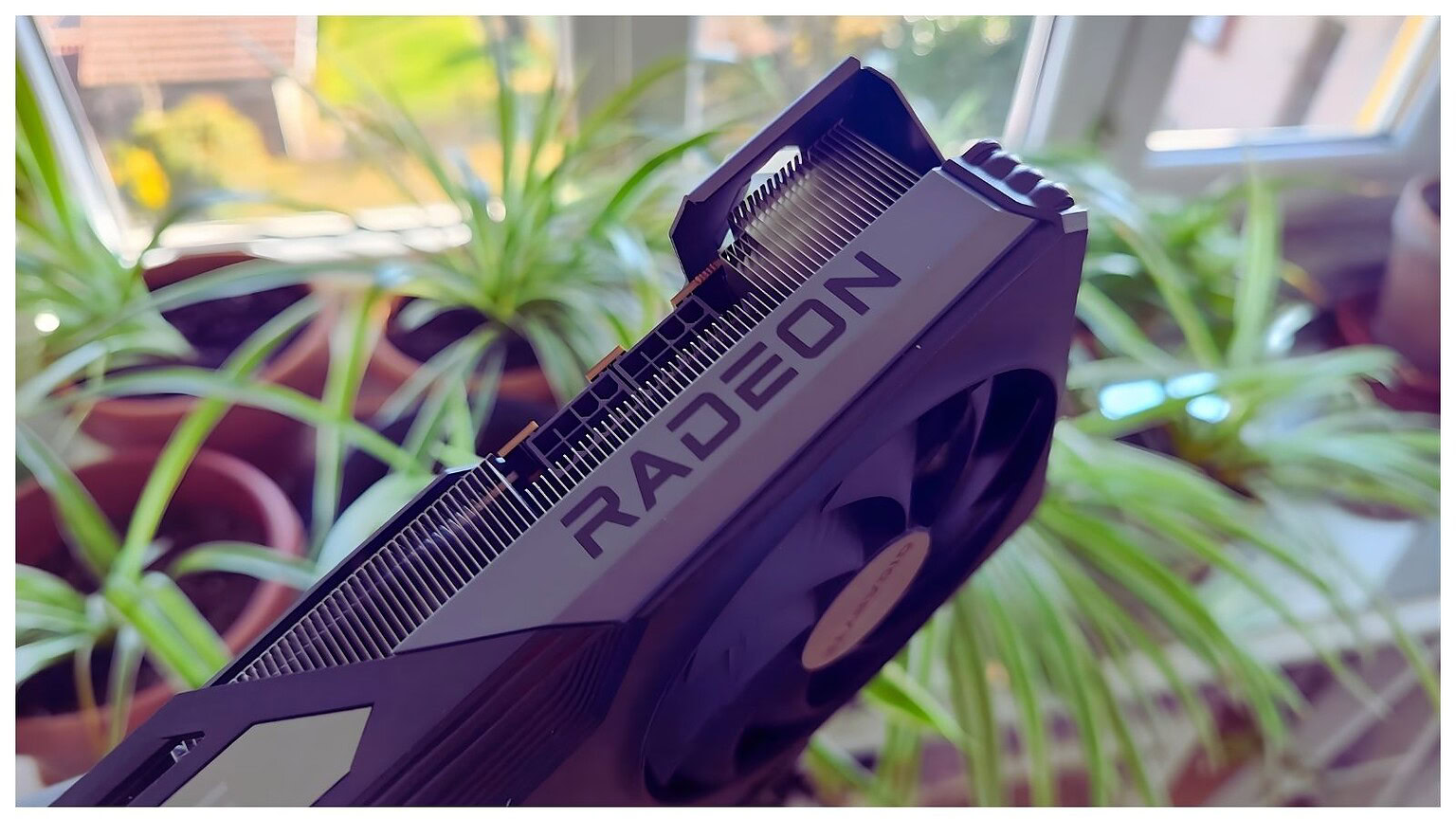 AMD