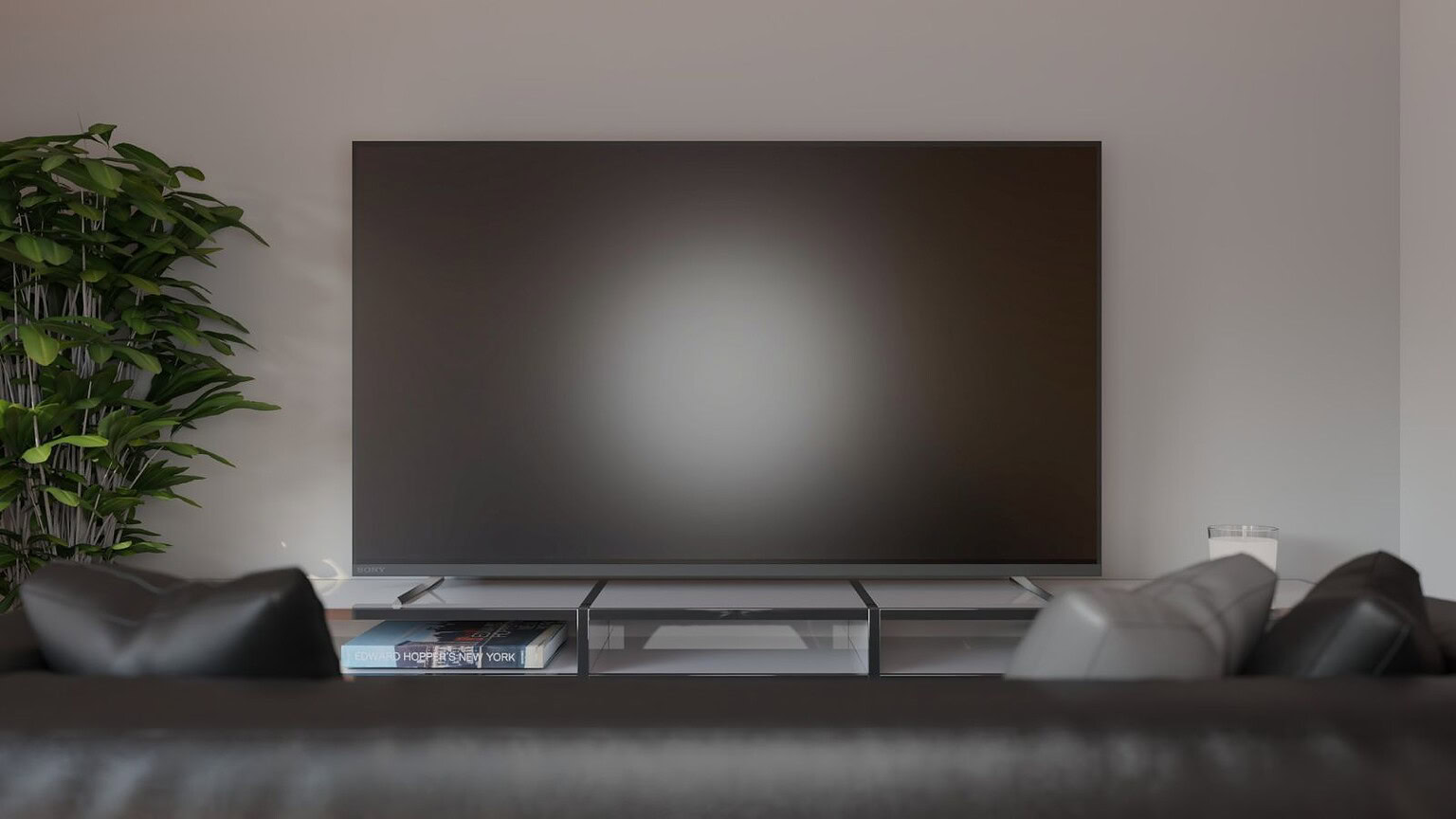 TV