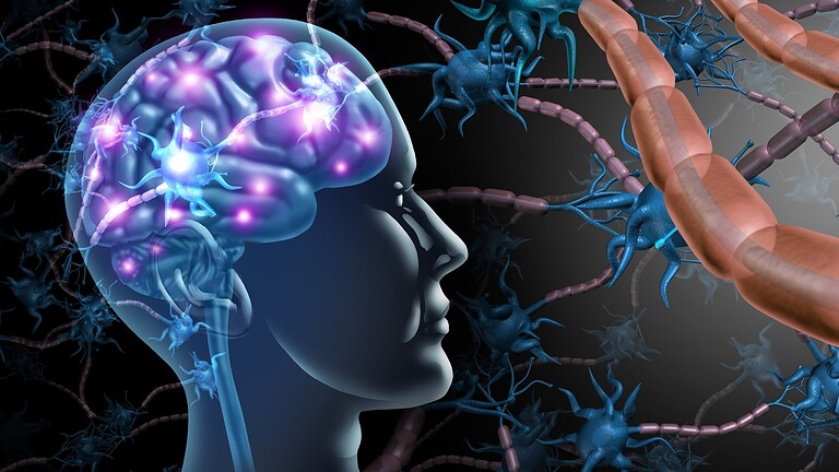 Cina VS Neuralink: il cervello diventa flessibile