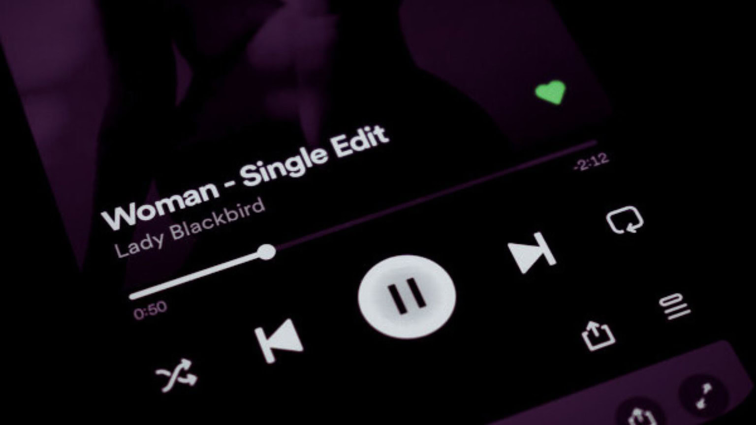 Spotify testi