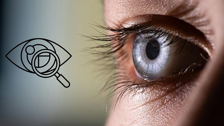 Retine artificiali aiutano a comprendere il meccanismo della visione