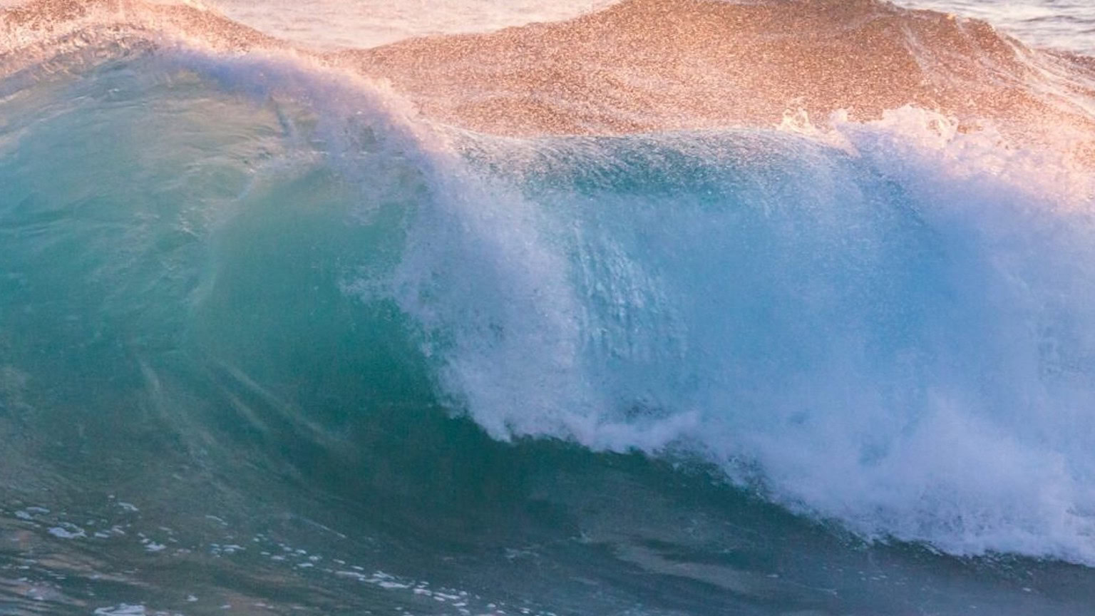 WAVES