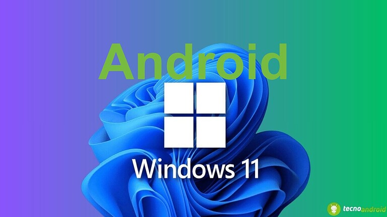 Windows