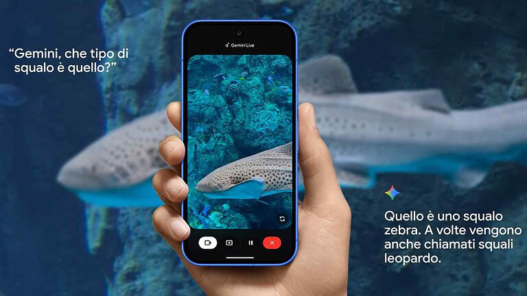 Alcuni Pixel, inclusi Pixel 10, producono scoppiettii improvvisi dagli altoparlanti; Google non ha ancora fornito una soluzione.