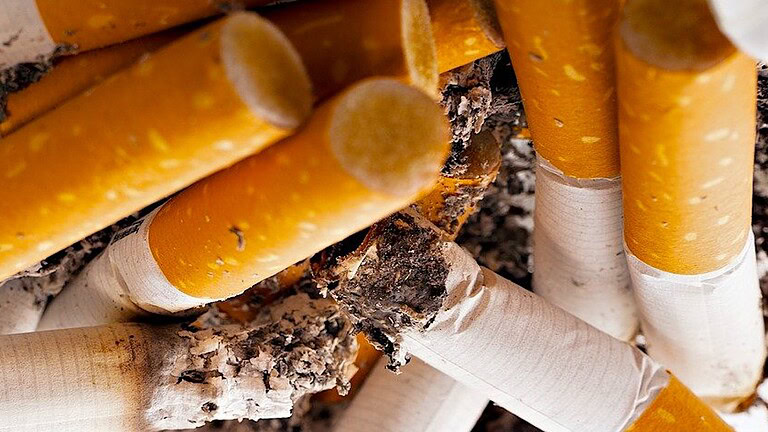 tobacco