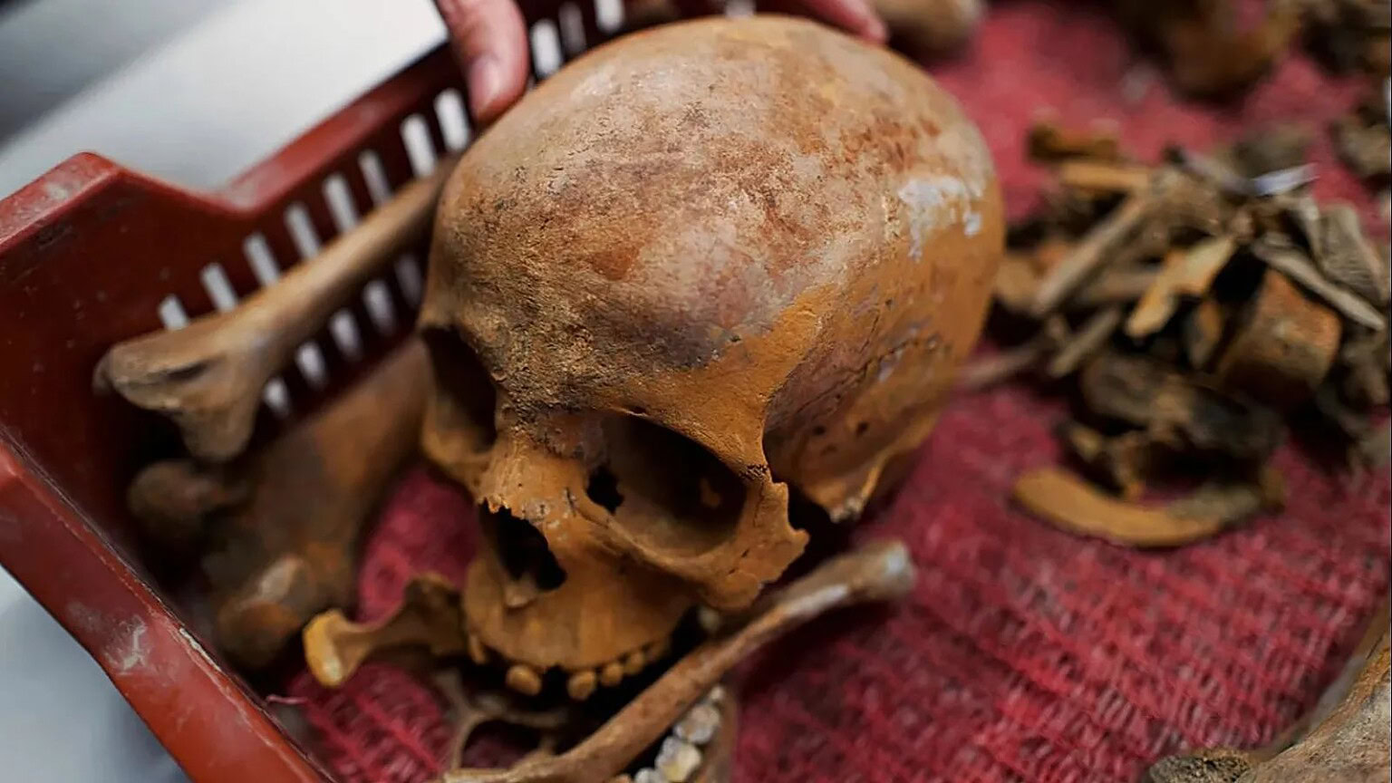 Ungheria, la scoperta: il cranio dimenticato per 20 anni potrebbe avere un nome