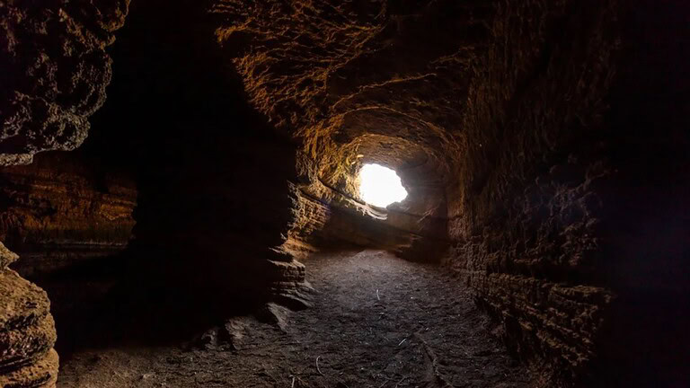 Nuova Zelanda: scoperti fossili mai visti in una grotta, è una vera capsula del tempo
