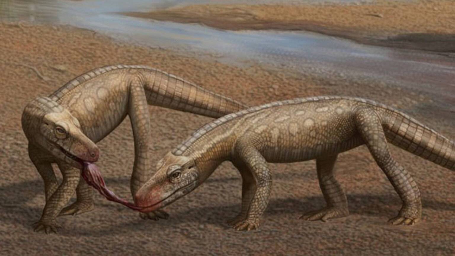 Coccodrillo del Triassico scoperto in Inghilterra: era velocissimo