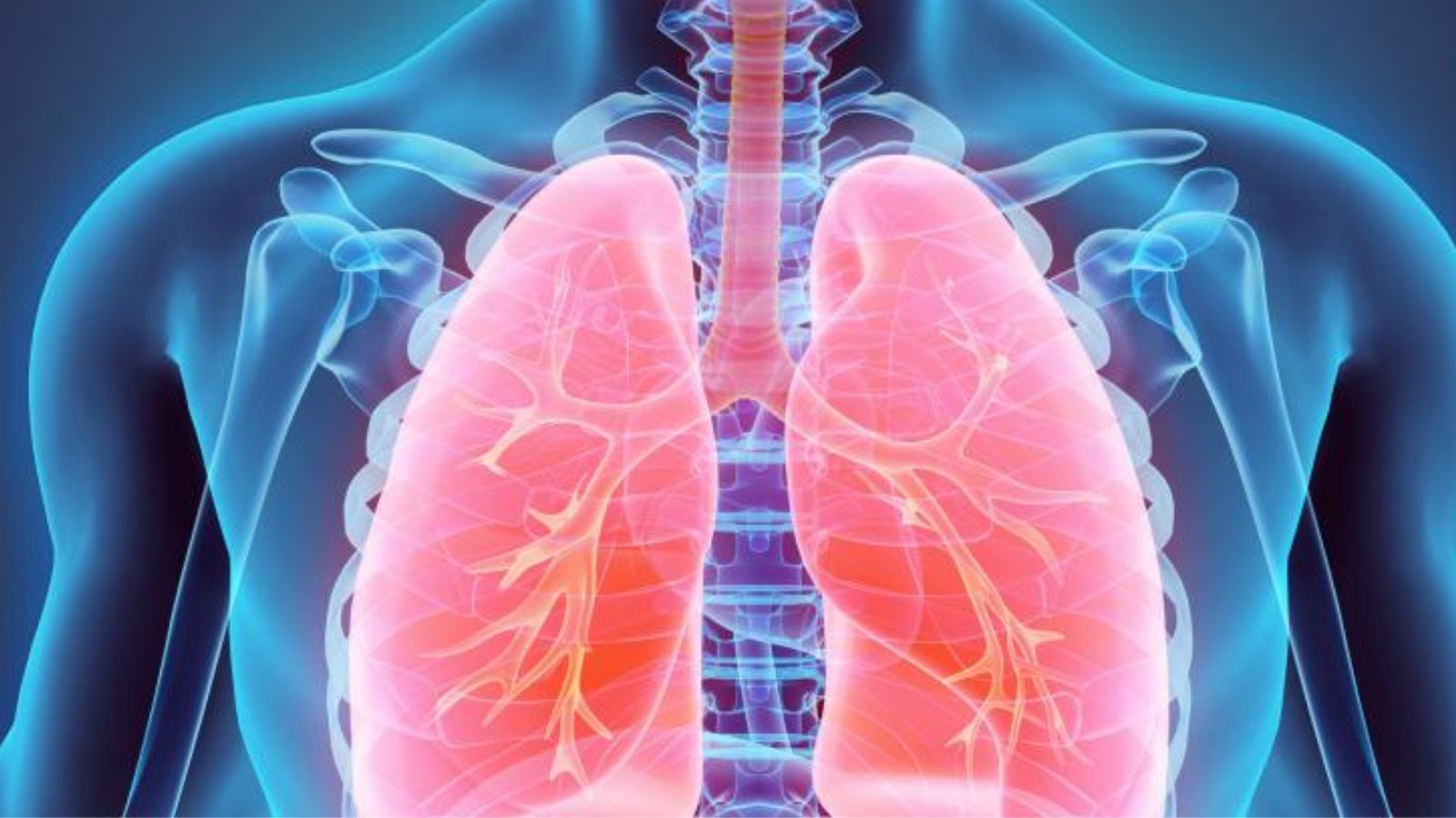 Tubercolosi in crescita: è il caso di preoccuparsi davvero?