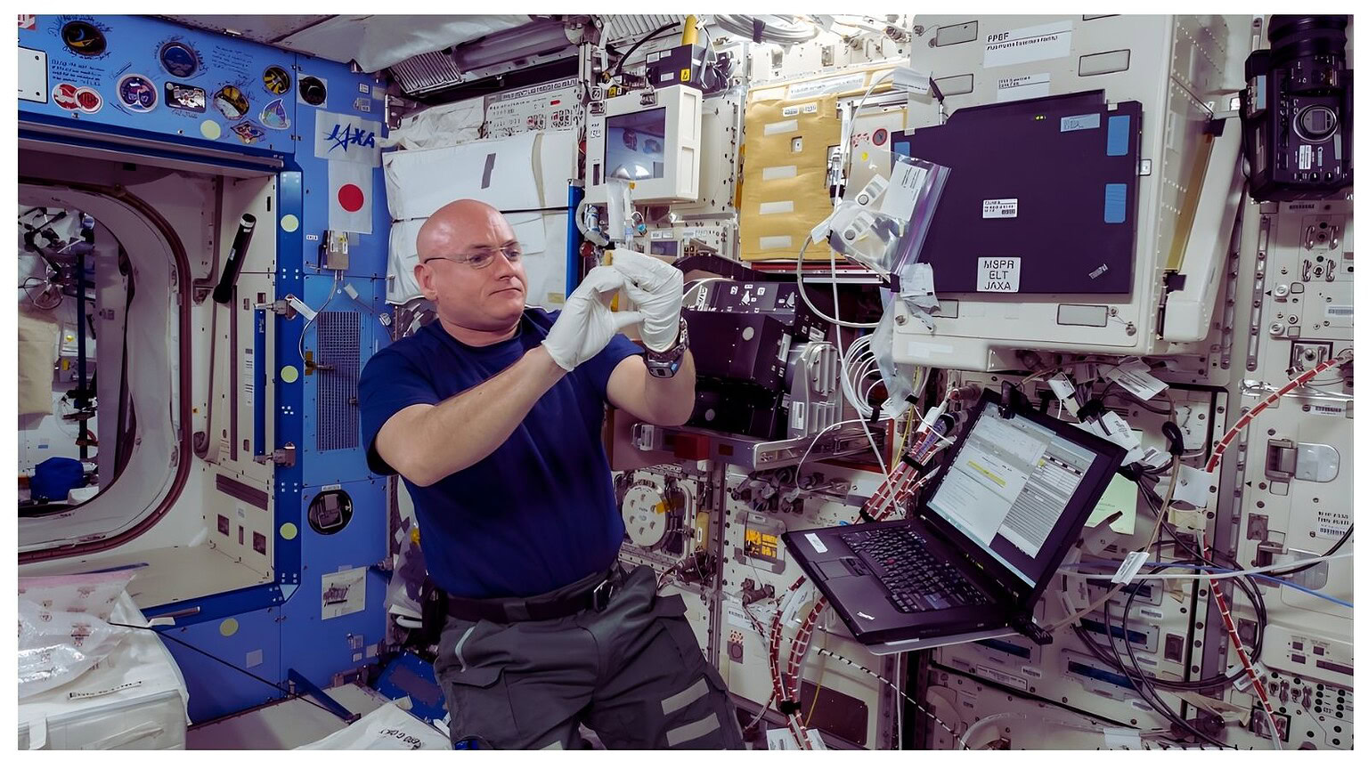 ISS materiale organico