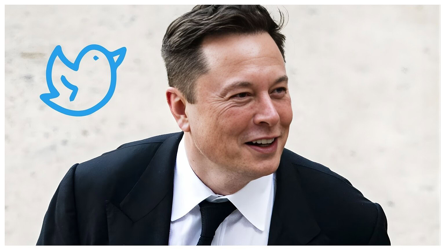 Musk investitori Twitter