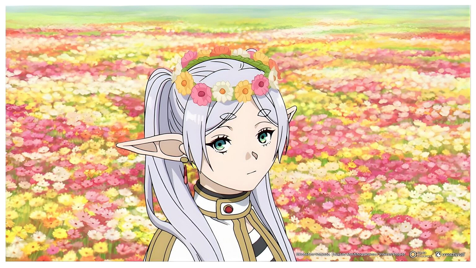 anime gratis legali
