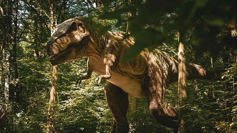 dinosauro