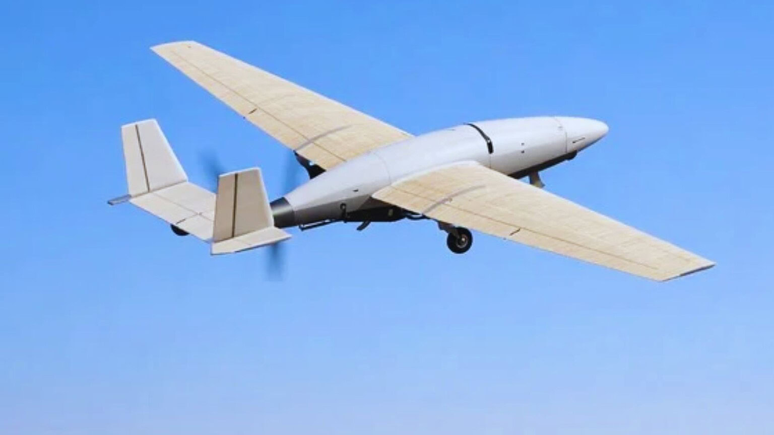 drone bambù