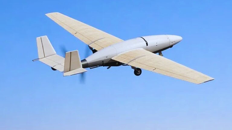 drone bambù