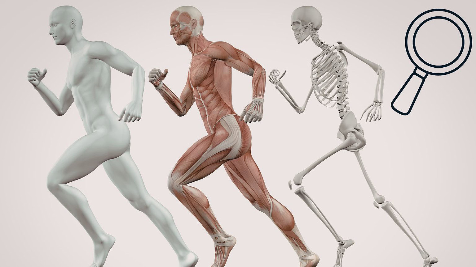Human Organ Atlas è finalmente disponibile