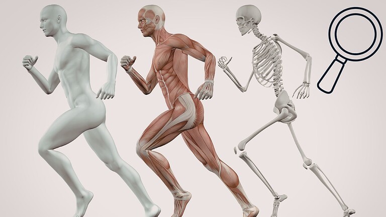 Human Organ Atlas è finalmente disponibile